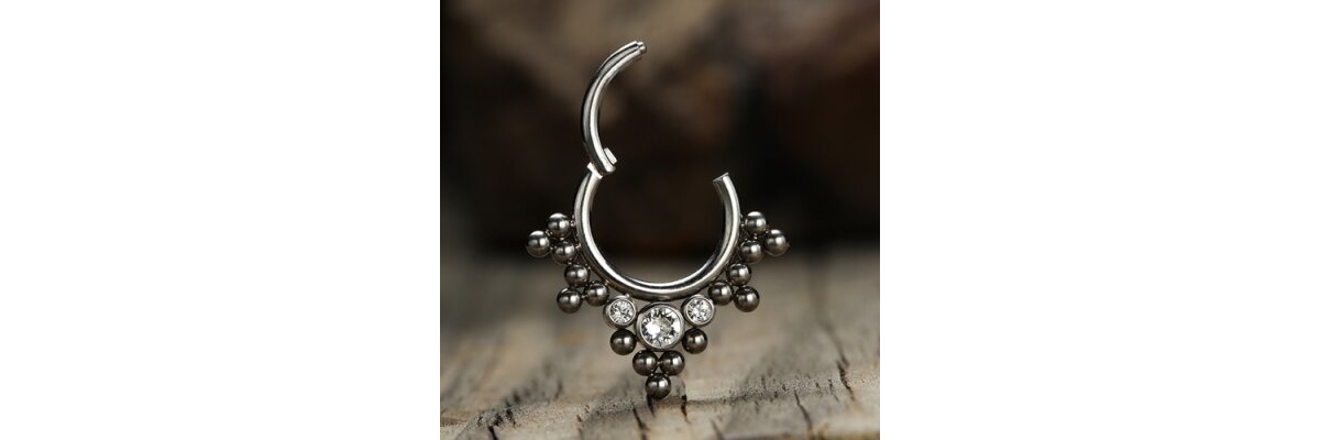 Eure Favoriten: Clicker Segmentringe - Neue Clicker Piercing mit Scharnier | PIERCING-EXPRESS