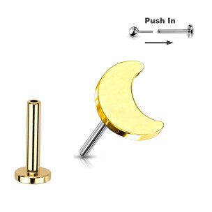 Nasenpiercing Helix Tragus Piercing Titan Stecker Push...