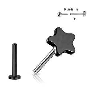 Nasenpiercing Tragus Piercing Titan Stecker Push Pin...
