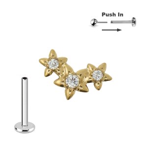 Titan Micro Push Pin Stecksystem mit Gold 3er Sterne...