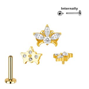 Titan Labret Innengewinde mit Halbblüte Aufsatz in Gold