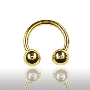 Titan Gold Intimpiercing Hufeisen Ring 2,5mm Stärke...
