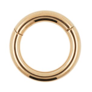 4,0mm Clicker Segmentring mit Scharnier