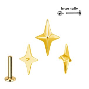 Titan Labret Innengewinde mit Zacken Stern  Aufsatz in...