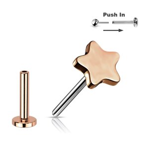 Nasenpiercing Tragus Piercing Titan Stecker Push Pin...