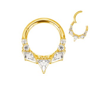 1,2mm Titan Geo Kristalle Segment Clicker Ring Silber Gold