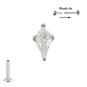 Titan Micro Push Pin stecksystem mit Drachen Form...