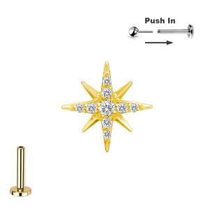 Titan Micro Push Pin Stecksystem mit Stern mit kleinen...